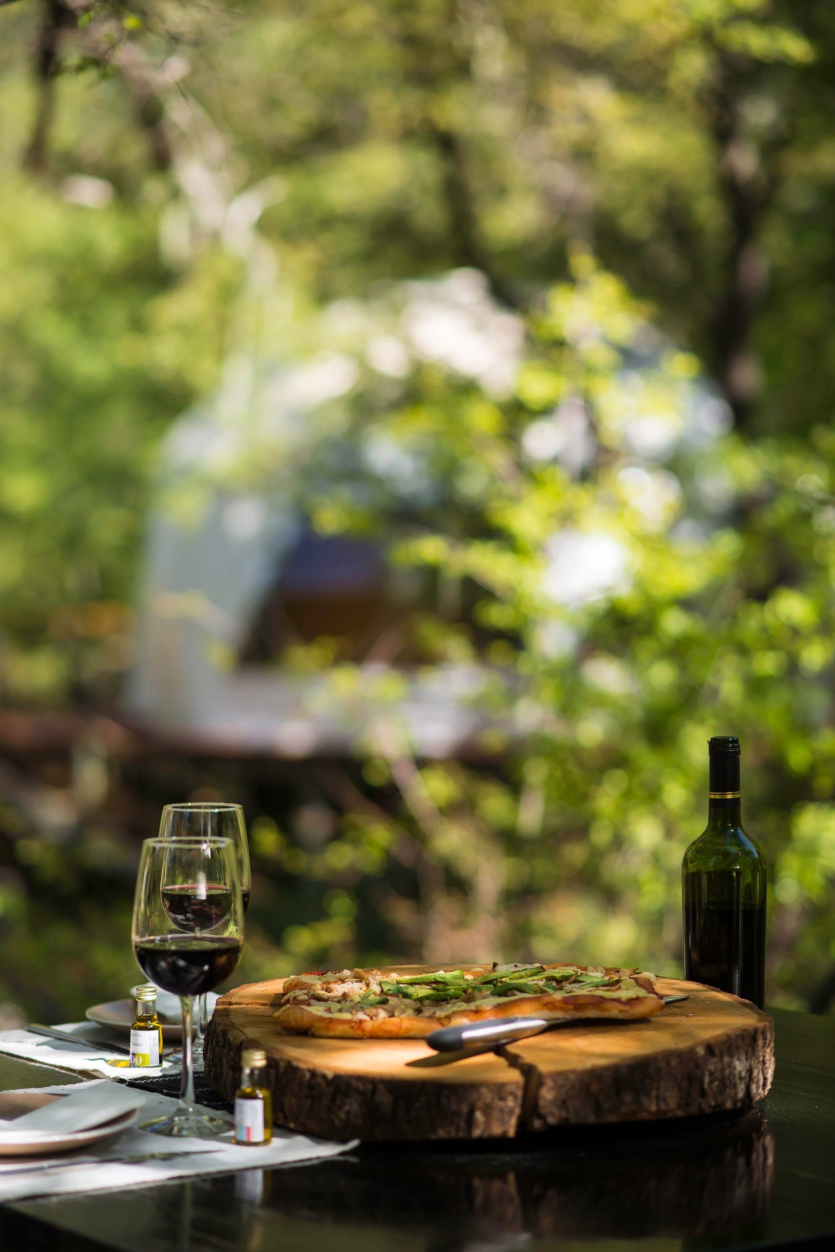 Cena y experiencias especiales en TreePod, Valle Las Trancas
