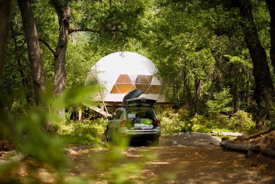 Domo TreePod en el bosque nativo de Las Trancas