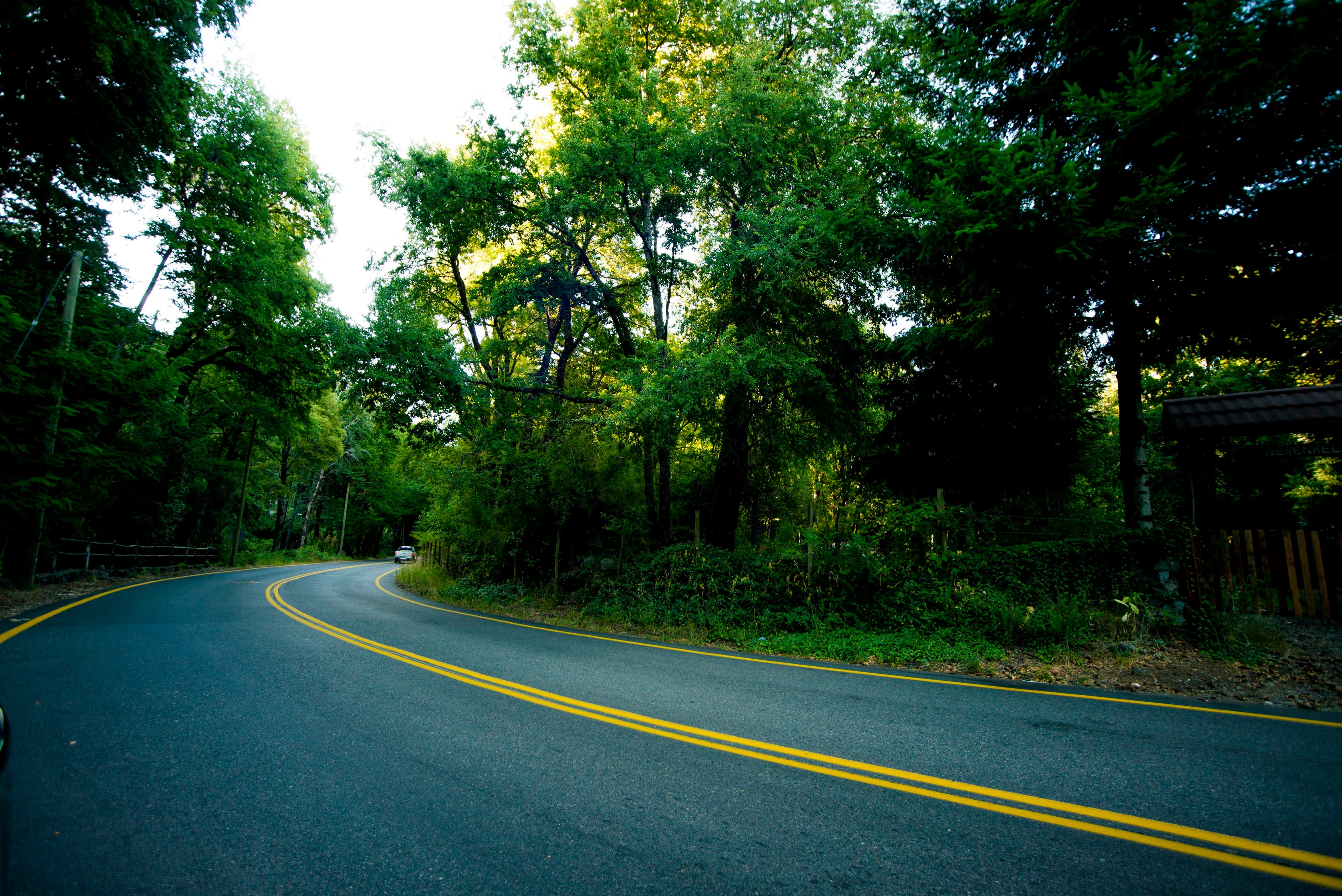 Exterior del domo geodésico TreePod en el bosque