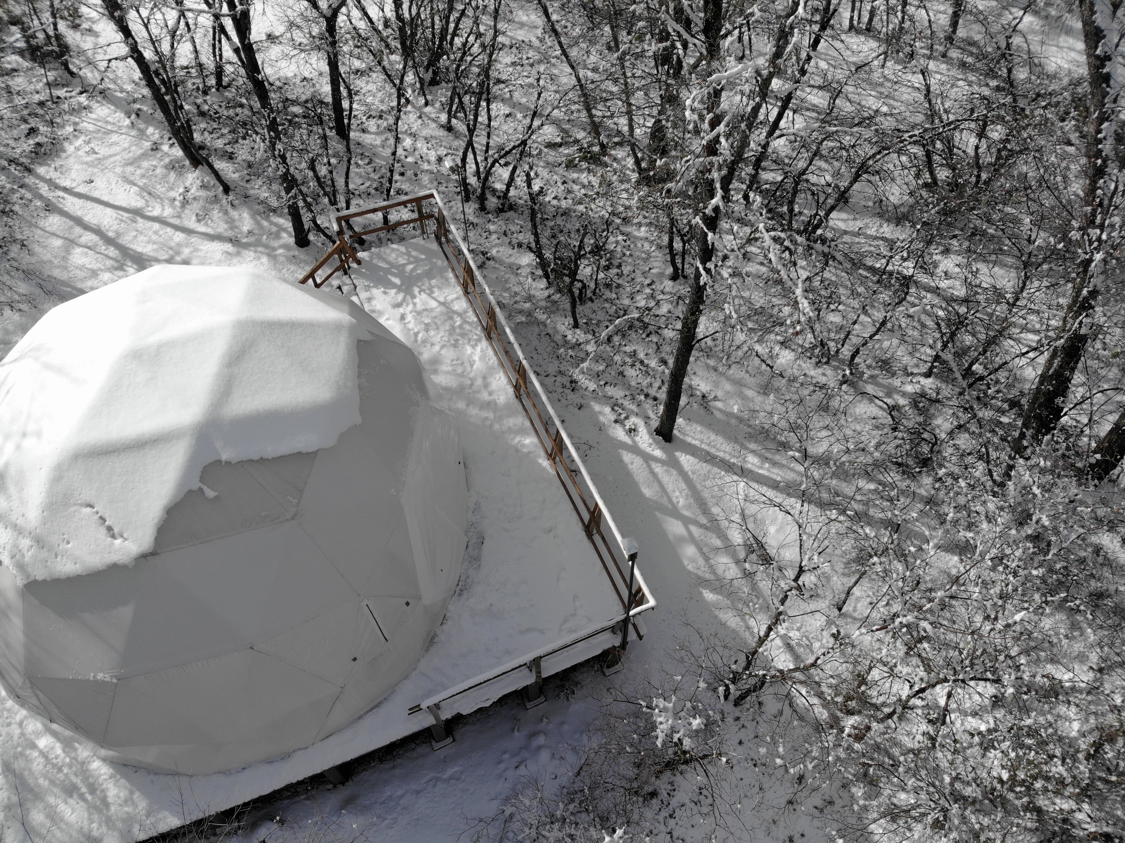 Domo TreePod en invierno nevado