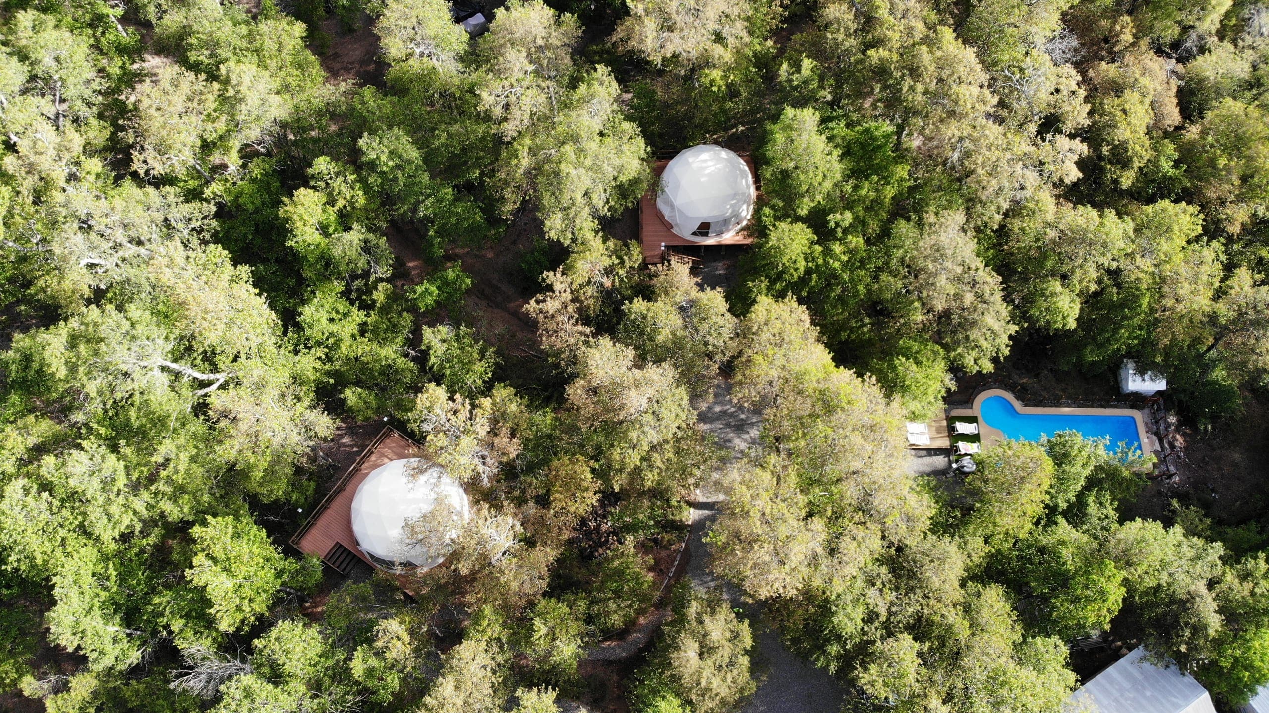Domo geodésico TreePod rodeado de bosque nativo en primavera