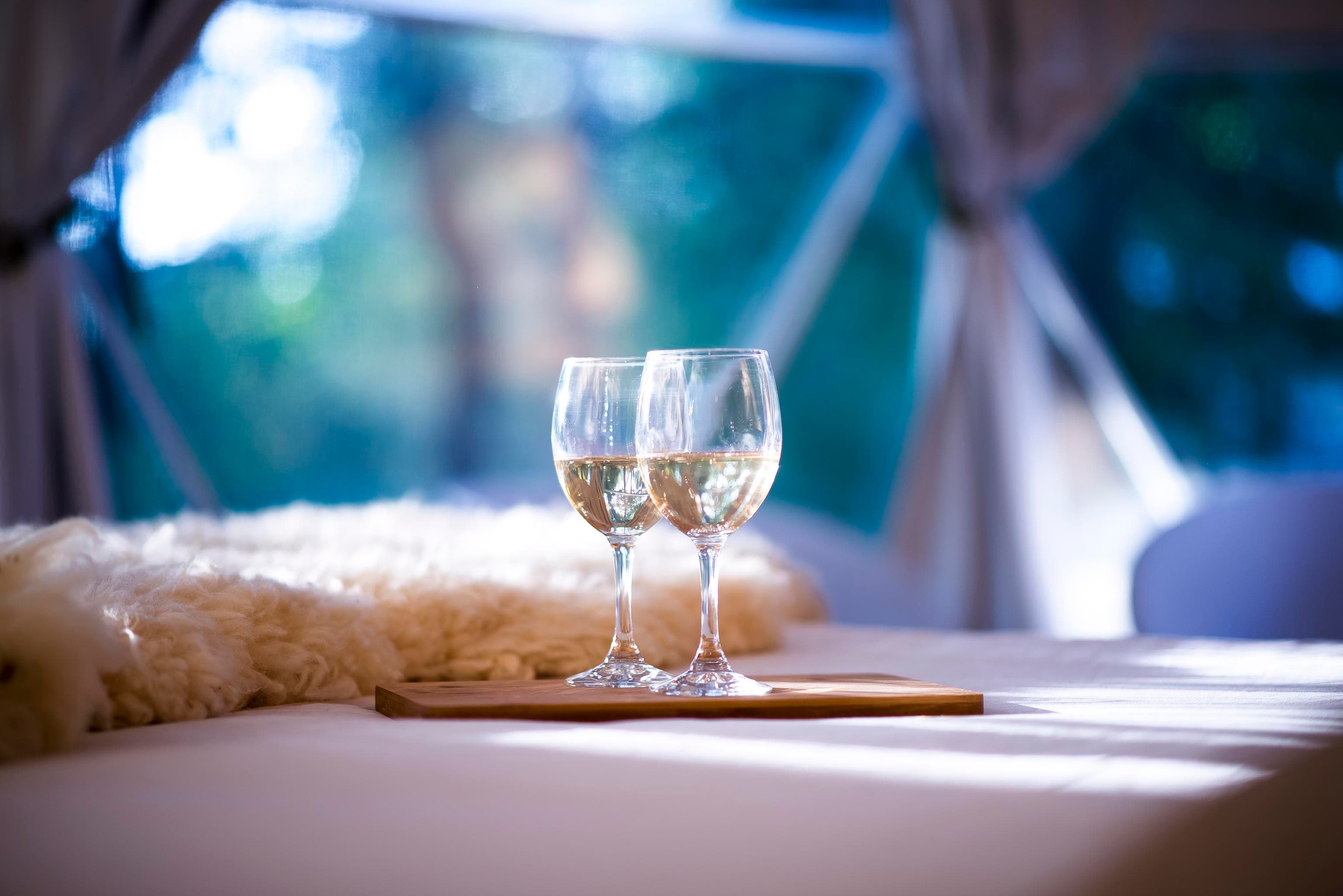 Refugio TreePod con cama de alta densidad y vistas al bosque