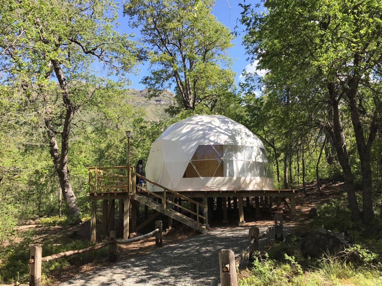 Domo geodésico TreePod rodeado de bosque nativo en primavera