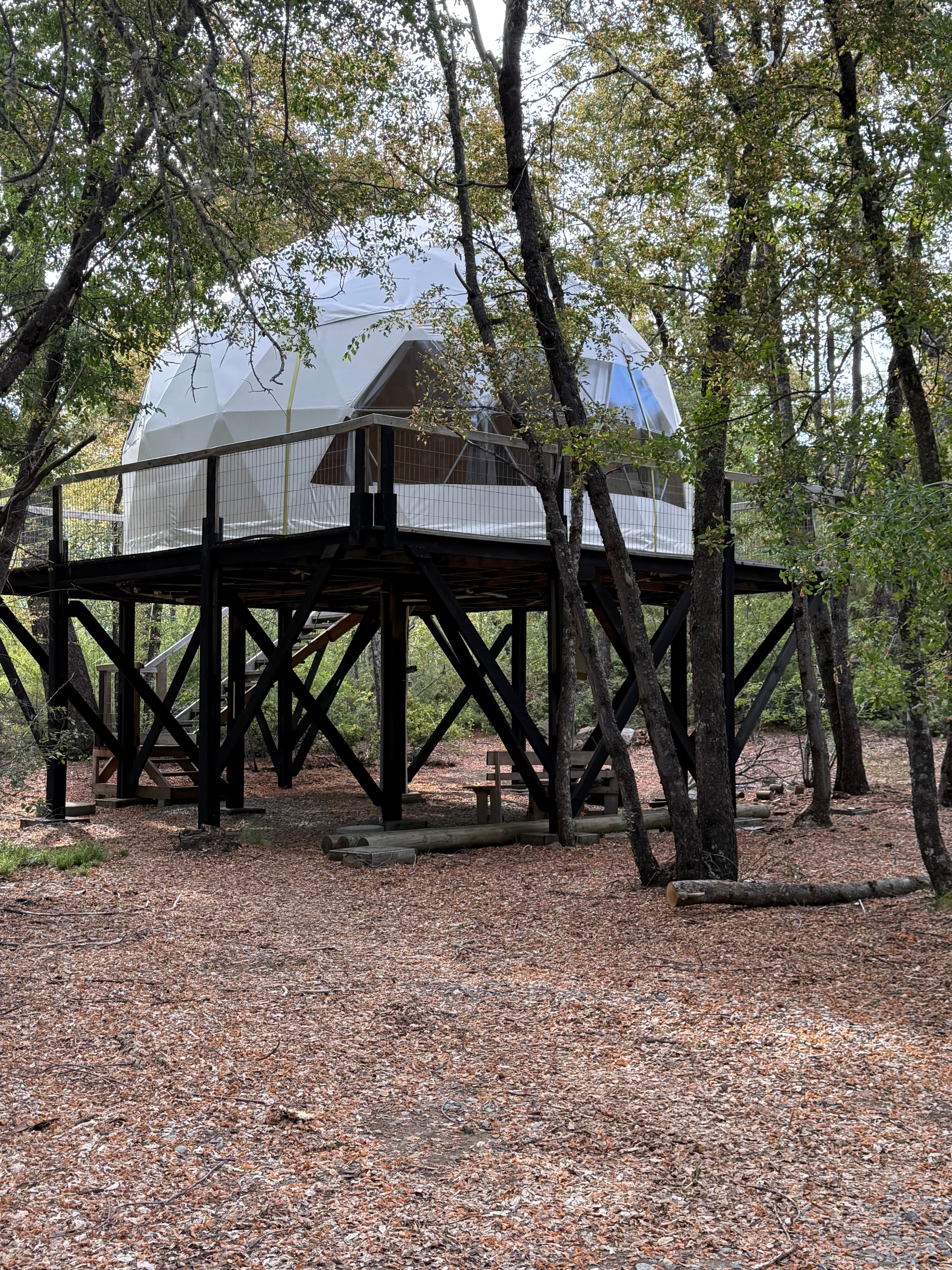 Domo TreePod en plenitud del verano