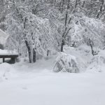 DomoStreepod-nieve